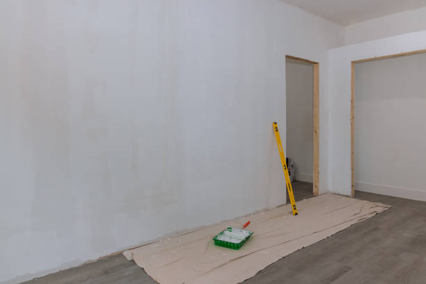 Best Mold Remediation for Rental Properties  in Bolivar, MO